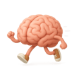 Brain